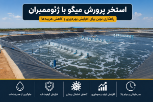 استخر پرورش میگو با ژئوممبران؛ راهکاری نوین برای افزایش بهره‌وری و کاهش هزینه‌ها